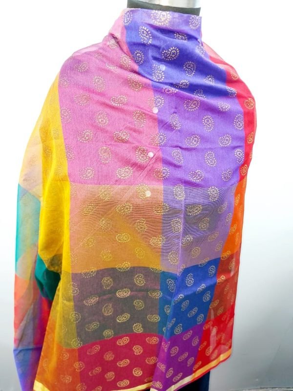 FANCY MULTI SHADE DUPATTA