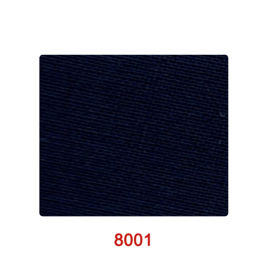 8001_1