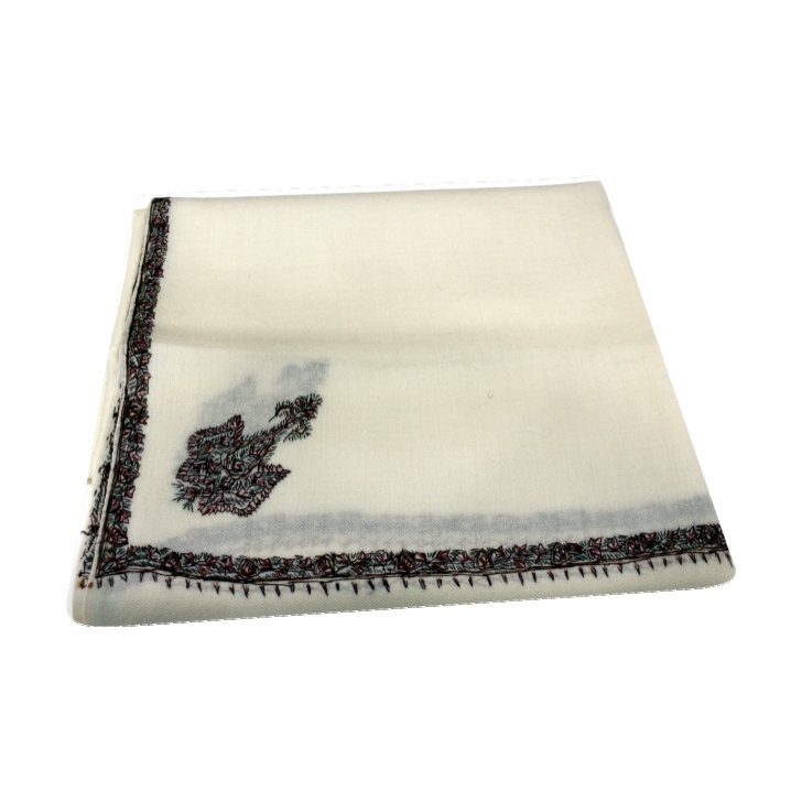 Pashmina Shawl with Border Embroidery –