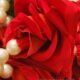 d72ab787-750b-4a76-8ee9-1d1b01e5b0c8